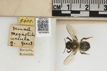 Media type: image;   Entomology 793801 Aspect: Labels